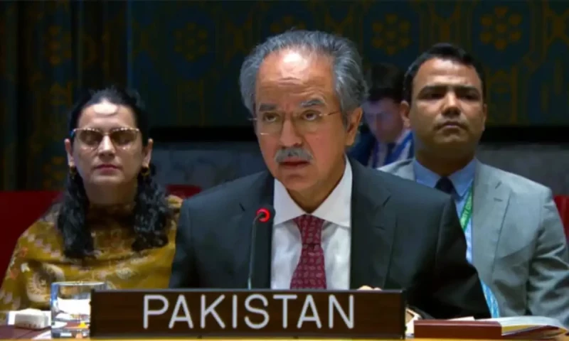 Pakistan urges UNSC to act, not to remain bystander, as Israel kills and starves Palestinians