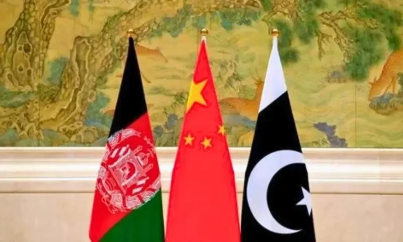 Trilateral cooperation among China, Pakistan, Afghanistan essential for regional peace and development