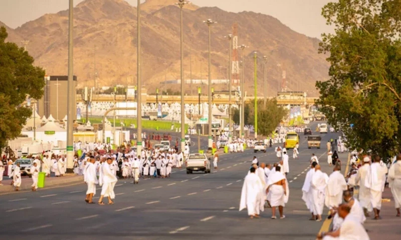 Muslim pilgrims pray at Mount Arafat in hajj apex
