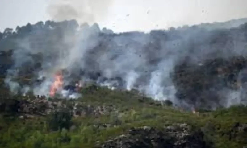 Forest fire in Malakand&rsquo;s turns hazardous