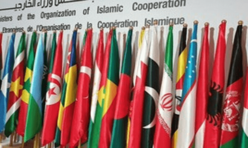 Two-day meeting of Islamic foreign ministers kicks off in Istanbul