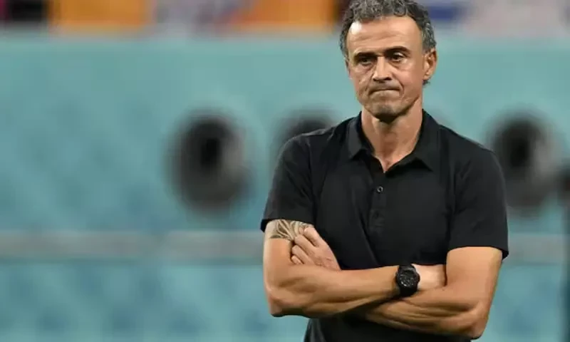 PSG coach Luis Enrique warns against complacency in Club World Cup final