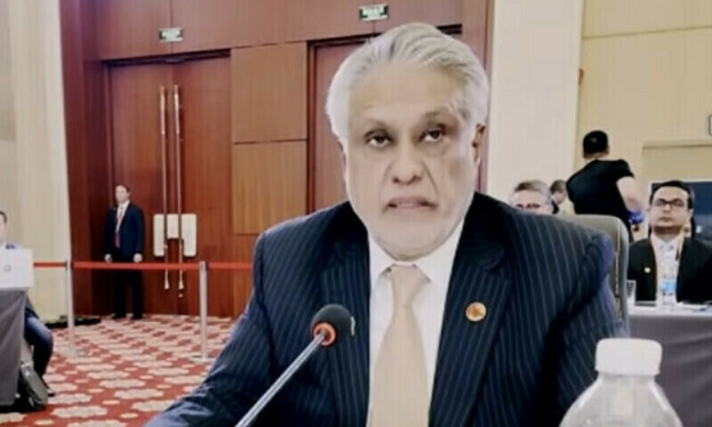 Ishaq Dar calls for regional stability, cooperation at SCO meeting
