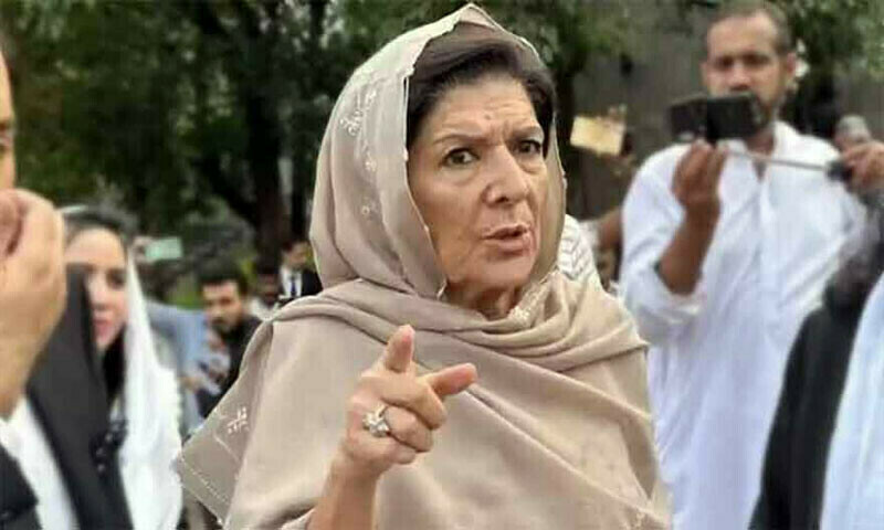NCCIA summons Aleema Khan over allegations of anti-state social media activities