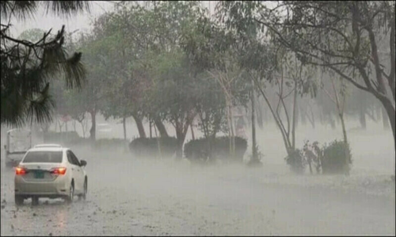 Punjab declares rain emergency: Swimming, bathing banned amid flood