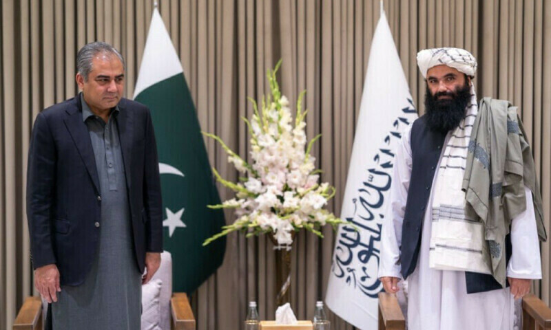 Naqvi discusses bilateral ties with Afghan minister in Kabul