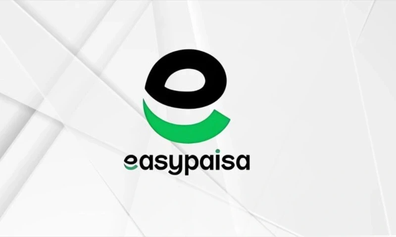 Easypaisa partners with Google I/O extended Islamabad 2025 to unlock AI potential