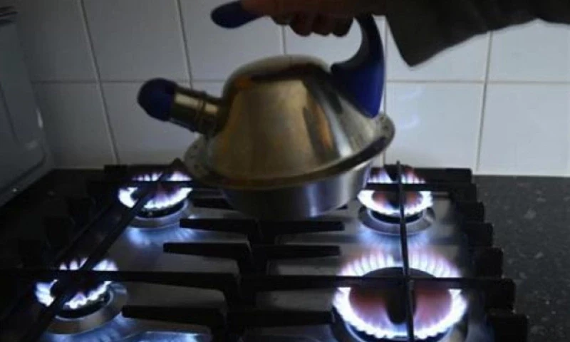 ECC turns down proposal to restore subsidised gas for exporters