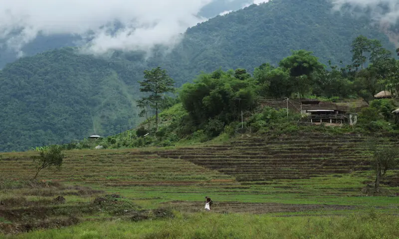 A farmer from the Adi community works on a farm which is at risk of submersion if the proposed 11,500 MW Siang Upper Multipurpose Dam Project is completed in Parong village, Siang district, Arunachal Pradesh, India. – Reuters