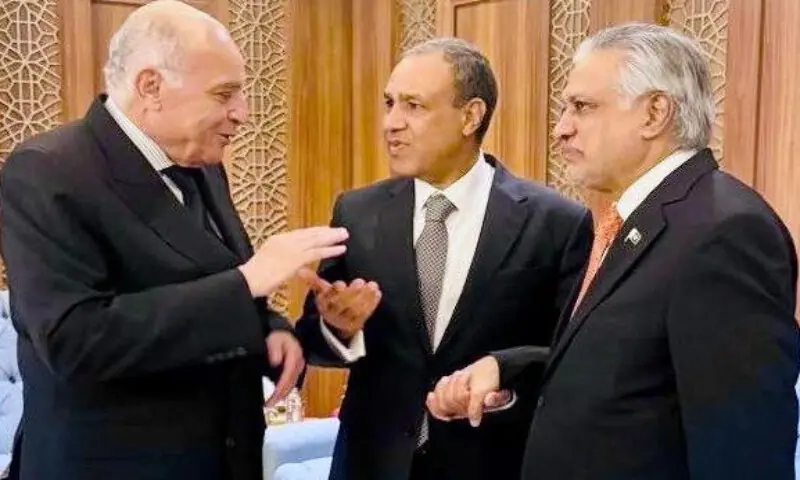 Dar holds talks with Egyptian, Algerian foreign ministers