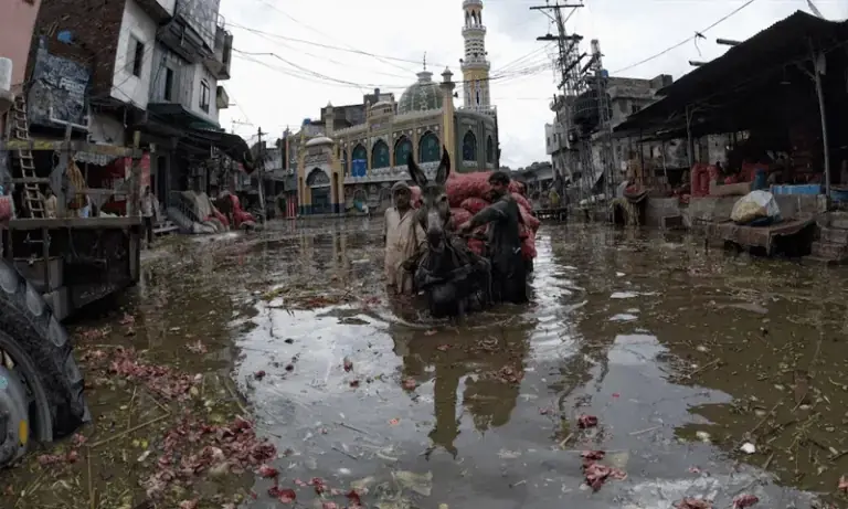 ADB pledges $3m emergency aid for Pakistan flood victims