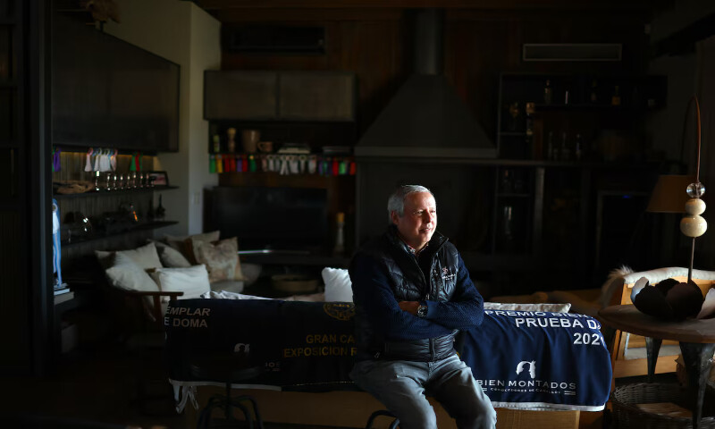 Daniel Sammartino is the co-founder of Kheiron Biotech, the firm that developed the genetically edited foals. – Truters