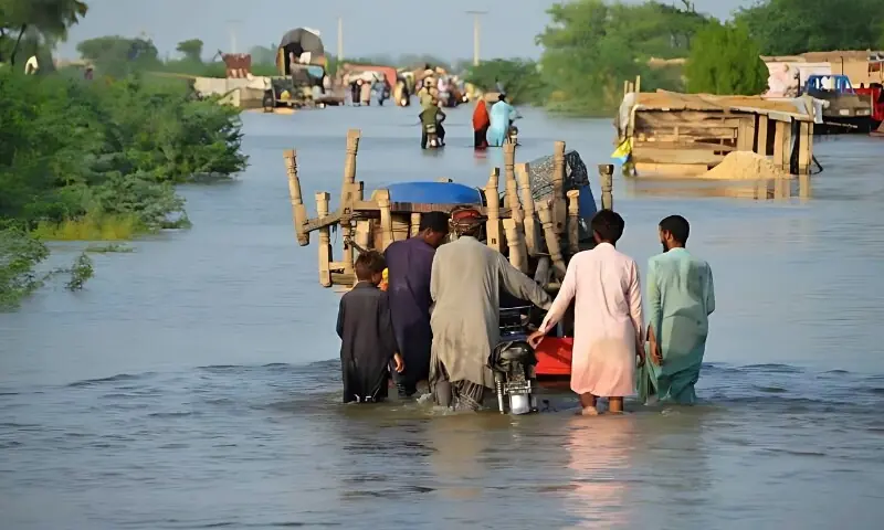 Sindh making arrangements to handle super flood, says CM
