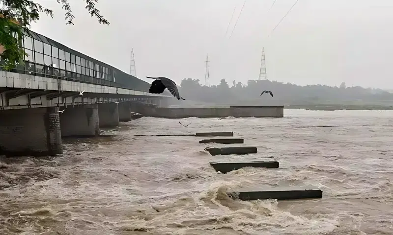 India&rsquo;s water aggression sparks flood emergency in Punjab: 35 dead, nine districts at risk
