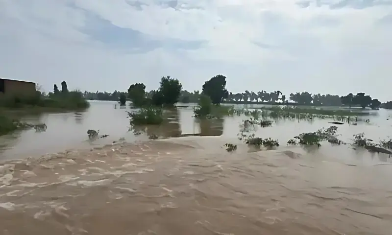 Embankment breached to protect Sidhnai headworks near Khanewal