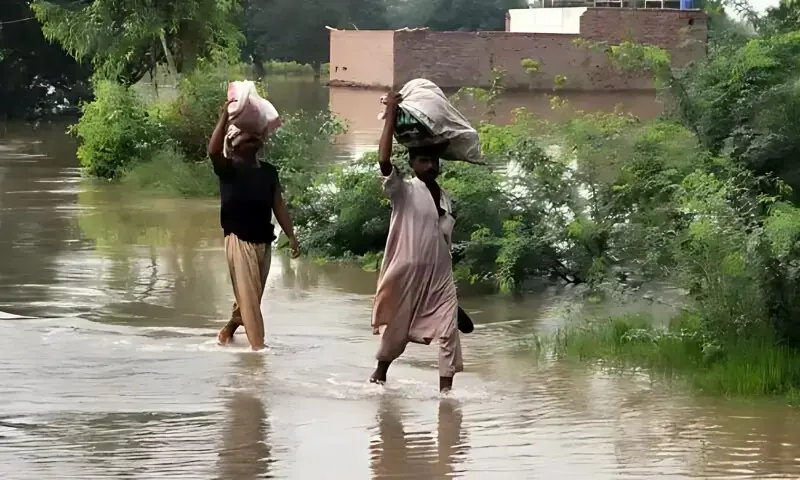 Federal govt plans electricity bill relief for flood victims