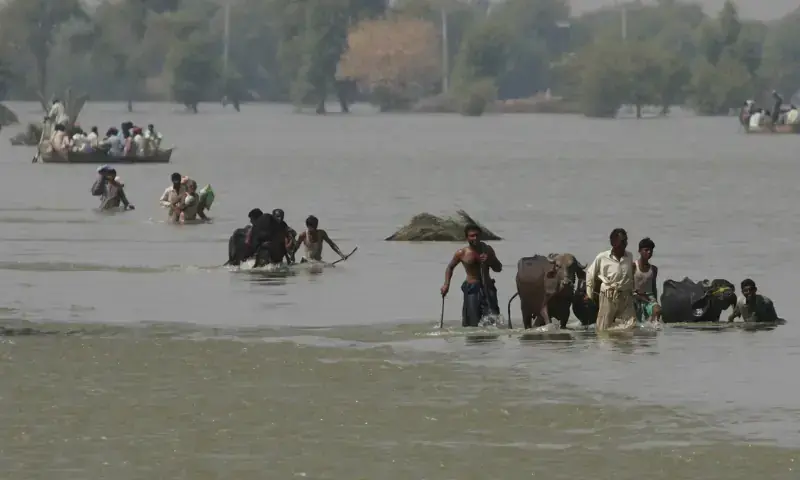 Dozens of villages submerged in Sindh, crops destroyed