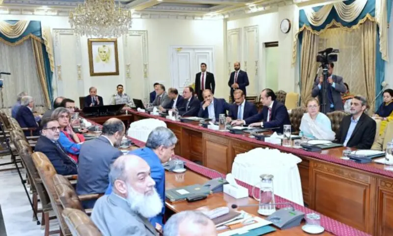 PM Shehbaz directs complete assessment of rain, flood damages