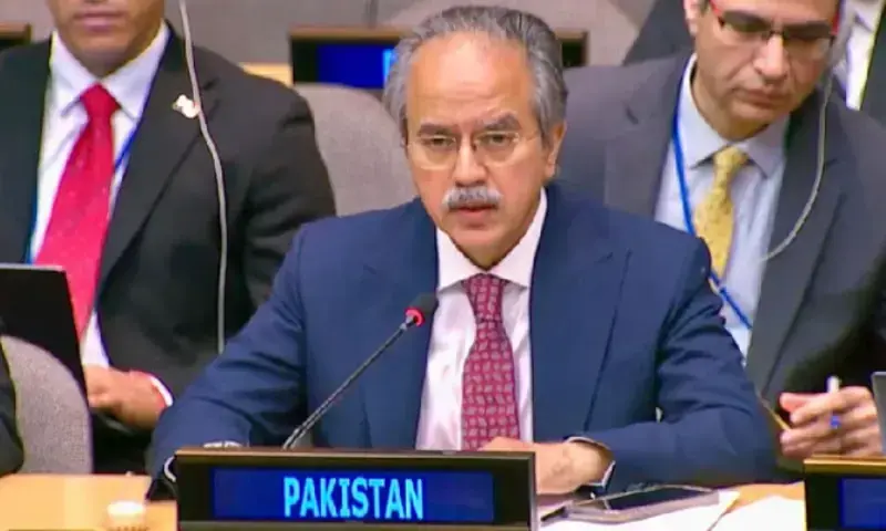 Terrorism from Afghanistan poses grave threat to national security: Pak envoy