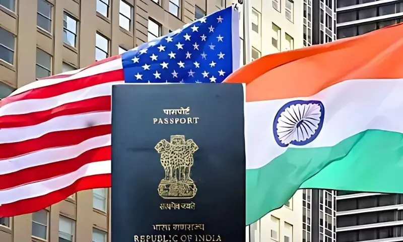 فینٹانل بنانے والے اجزا کی اسمگلنگ: امریکا نے بھارتی کاروباری افراد کے ویزے منسوخ کردیے – World