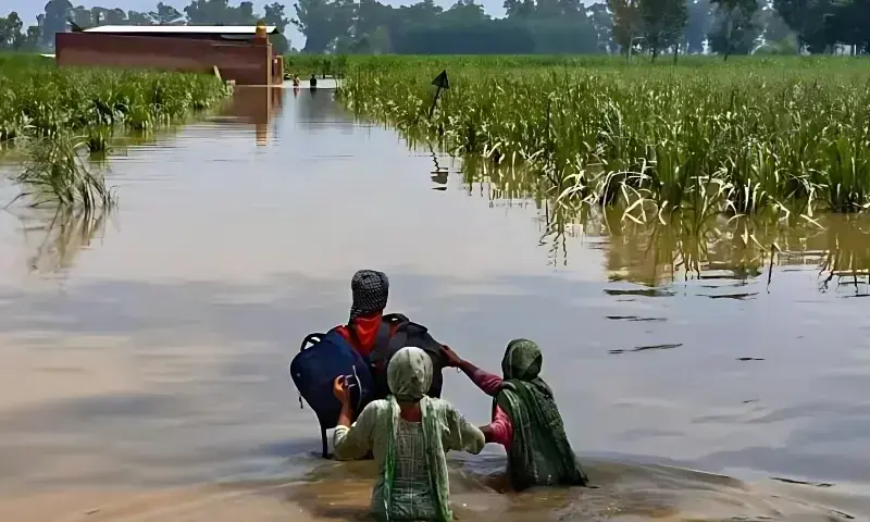 Punjab flood report: 127 dead, over 4.7 million people affected as river levels recede
