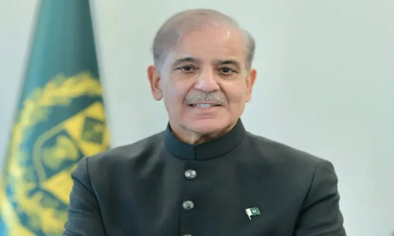 Peace not possible without removing causes of conflict: PM Shehbaz