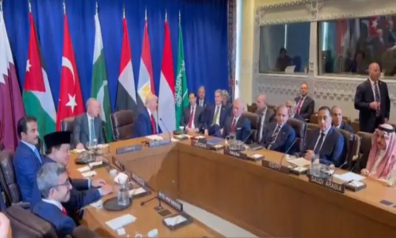 PM Shehbaz attends Arab-Islamic Summit, meets Trump, other leaders