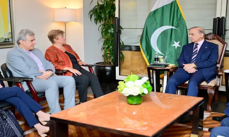 PM Shehbaz urges IMF to factor in flood impact in economic review