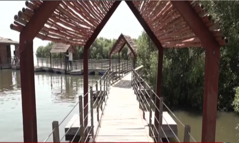 Karachi inaugurates first Mangrove Biodiversity Park