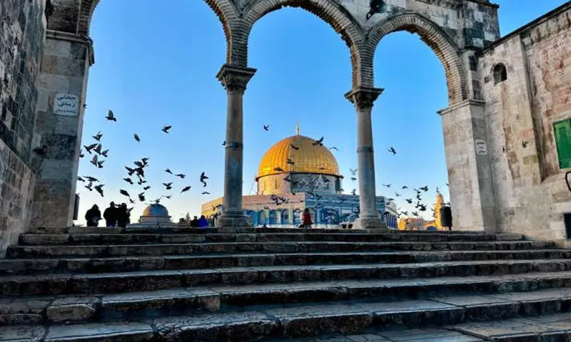 ٹرمپ کے 20 نکاتی غزہ منصوبے سے یوٹرن، پاکستان نے اپنا بیانیہ تبدیل کرلیا؟ – Pakistan