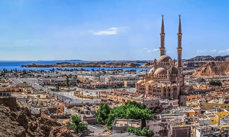 مصر کے شہر شرم الشیخ میں غزہ امن مذاکرات کے لیے بیٹھک، اسرائیل اور حماس کے وفود پہنچ گئے – World