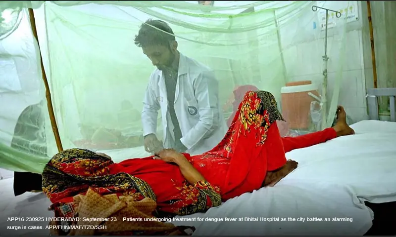 Sindh reports 276 new dengue cases in October