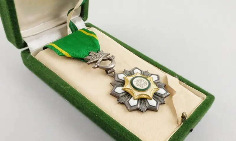 سعودی عرب میں اعضا عطیہ کرنے والے 200 شہریوں کو خصوصی اعزازات دینے کا اعلان – World