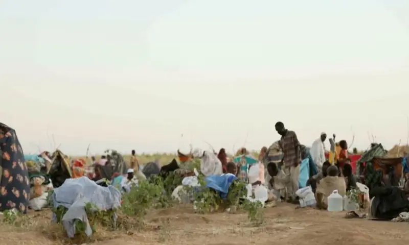 Displaced Sudanese gather and sit in makeshift tents after fleeing al-Fashir city in Darfur, in Tawila, on October 29, 2025, in this still image taken from a Reuters video. Reuters