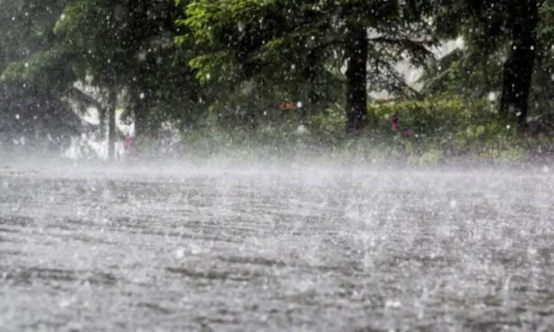 Rain, wind and thunderstorm with snowfall expected in upper parts on November 4