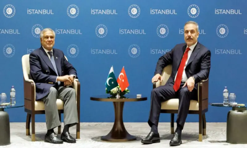 Deputy Prime Minister and Foreign Minister Ishaq Dar and Turkish Foreign Minister Hakan Fidan. Radio Pakistan