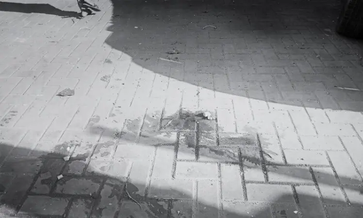 Car runs over people sleeping on footpath near Abdullah Shah Ghazi shrine