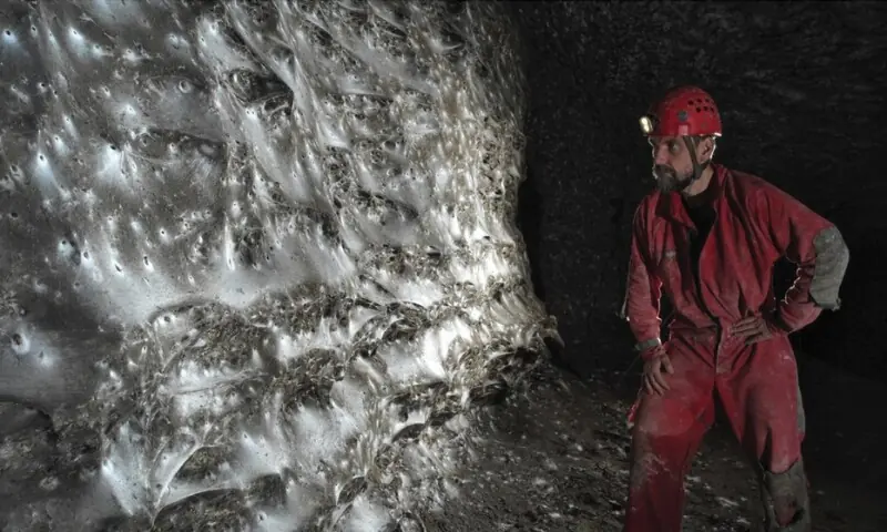 1 لاکھ 11 ہزار مکڑیوں کا شاہکار، یورپ کے غار میں دنیا کا سب سے بڑا جالا دریافت – Trending