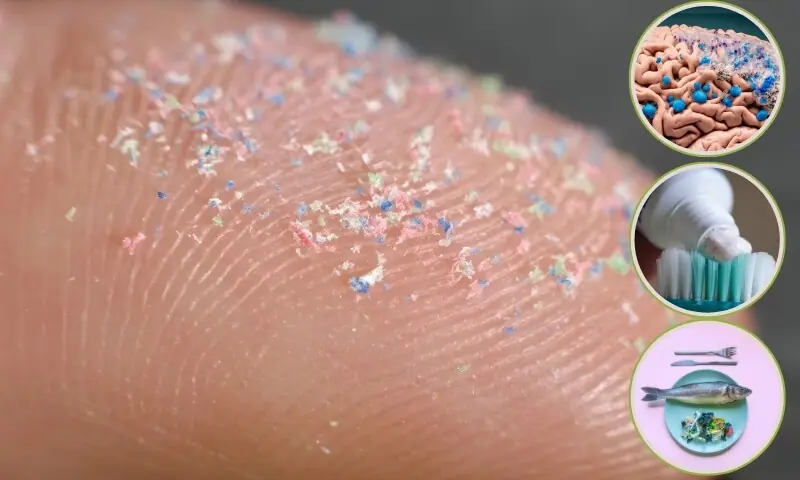 پلاسٹک کے ذرات ہڈیاں کمزور کرکے توڑنے لگے: نئی تحقیق – Health