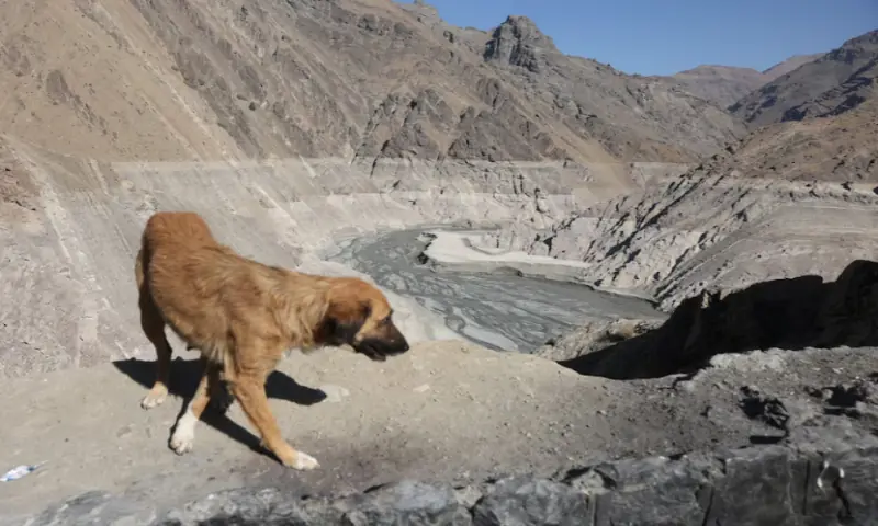 The Amirkabir dam following a drought crisis in Tehran on November 11, 2025. Reuters
