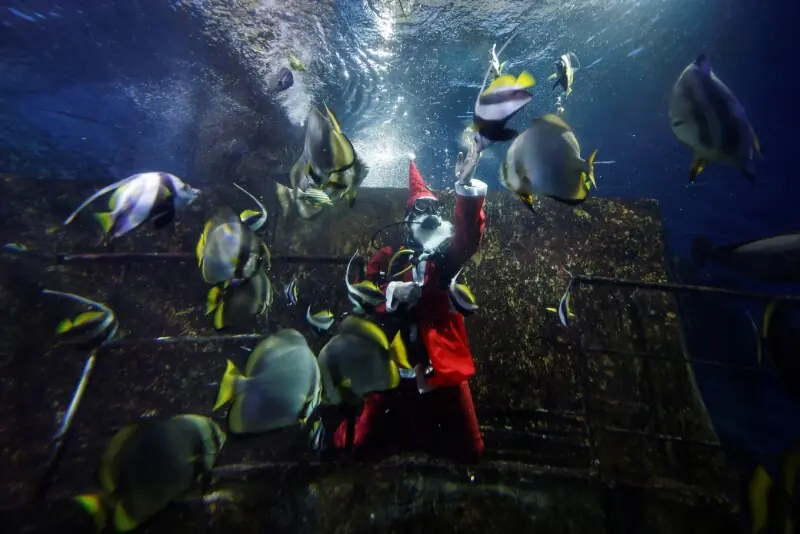 مالٹا میں انوکھا کرسمس انداز