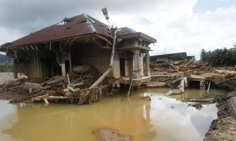 تصویر بشکریہ: دی جکارتا پوسٹ