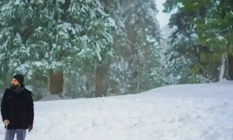 KP weather alert: rain and snow forecast until December 15