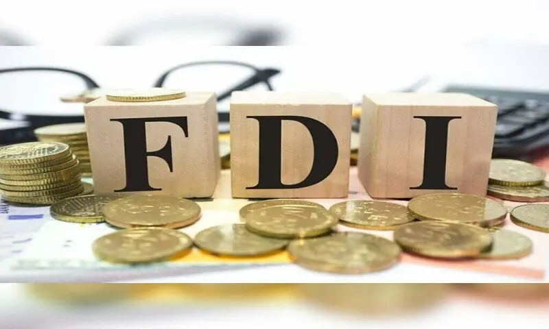 Pakistan&rsquo;s FDI plunges 25% in first five months of current fiscal