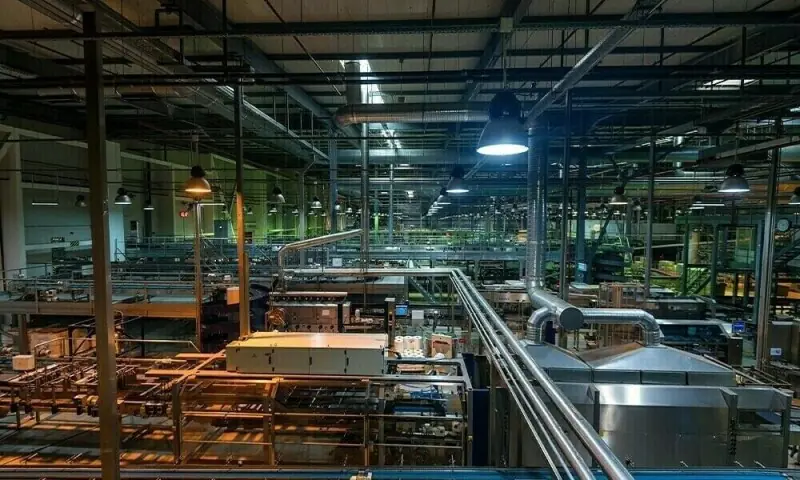 Industrial output rebounds as LSM posts strong growth