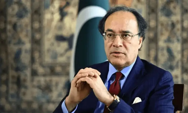 Pakistan to issue Panda Bond in coming weeks: Finance minister