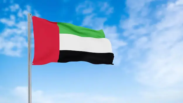 UAE denies supplying weapons to Yemeni separatists