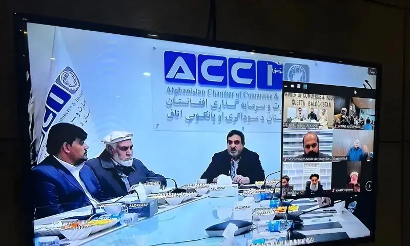 Joint committee formed to restore Pak-Afghan trade routes