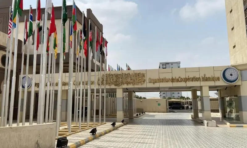 OIC&rsquo;s extraordinary meeting over Israel&rsquo;s actions in Gaza on Jan 10