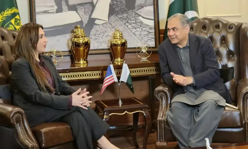 Naqvi, US delegation agree to boost security and border cooperation